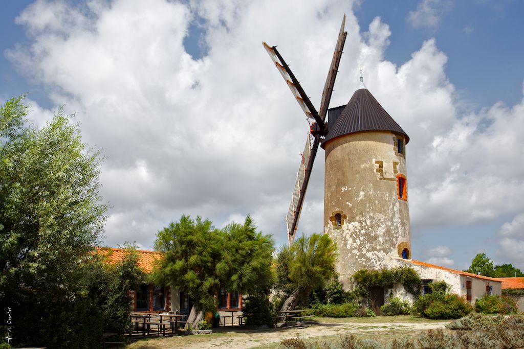 IMG 1849 Windmill 1024px